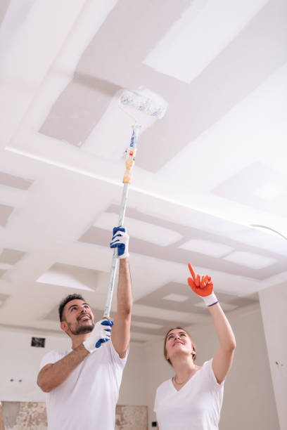 Best Mold Prevention Services  in Bass Lake, IN