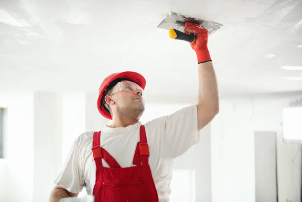 Professional Mold Removal in Bass Lake, IN