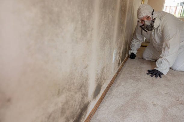Best Comprehensive Air Testing for Mold Contaminants  in Bass Lake, IN