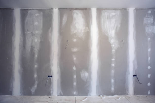 Best Forensic Mold Investigation  in Bass Lake, IN